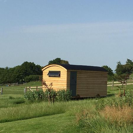 Вилла Slades Farm Glamping Уэстбери Экстерьер фото